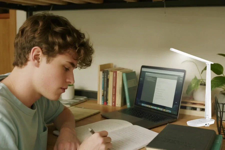 Student reviewing language notes at a desk
